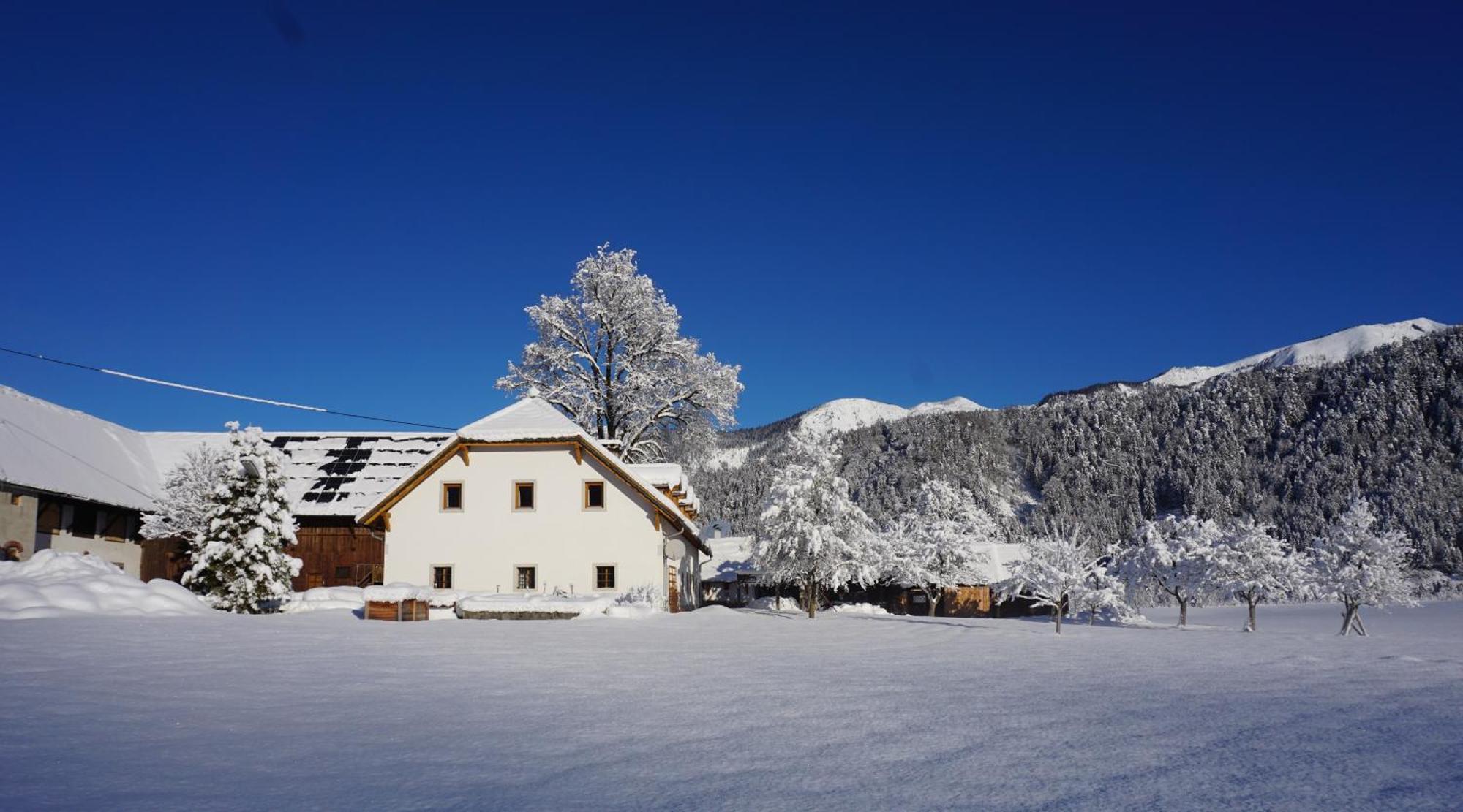 Ferienwohnung Ferien am Land - WALDBAUER Rossleithen Exterior foto